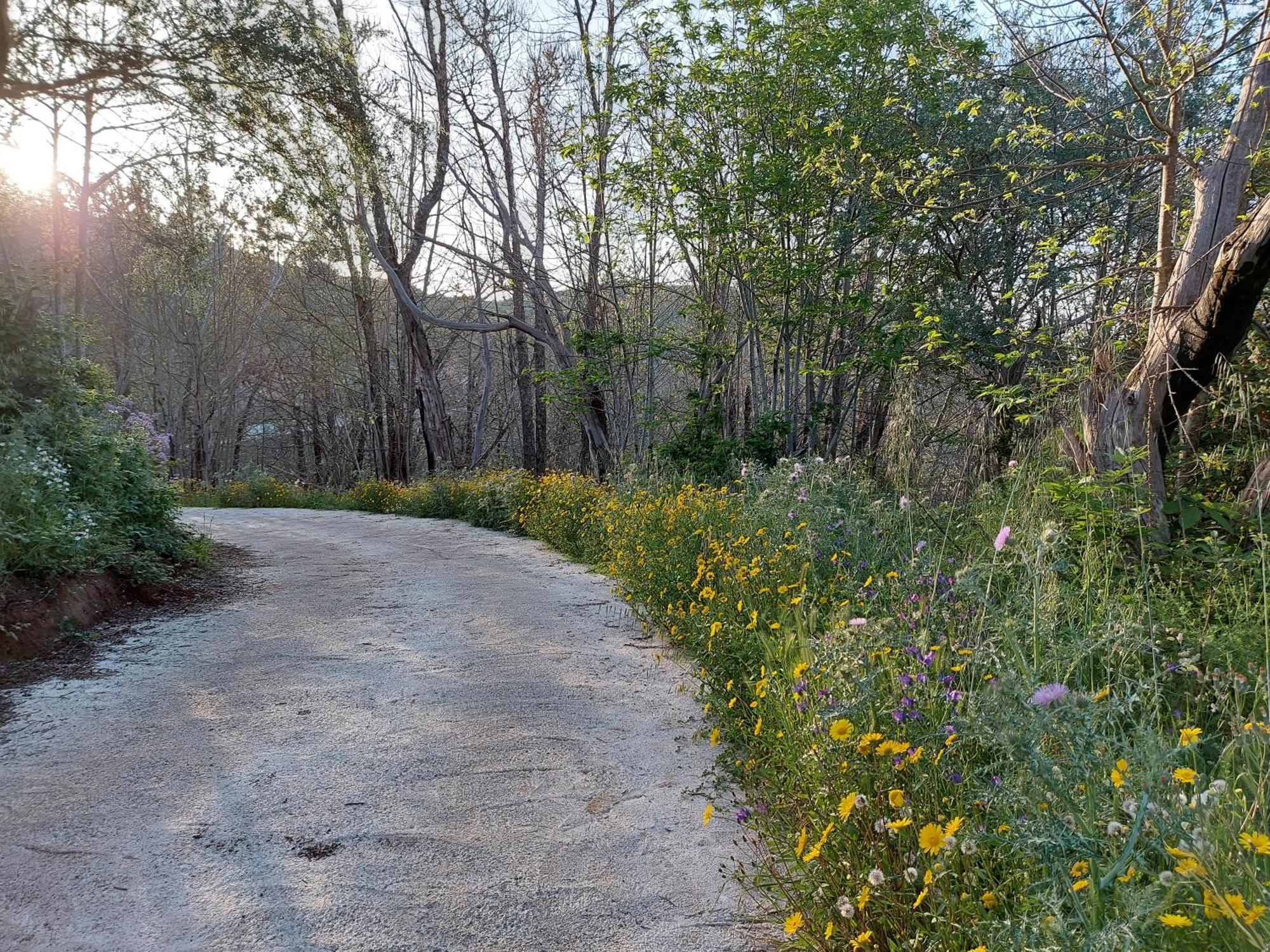 Finca Naturacanaria Moya  المظهر الخارجي الصورة