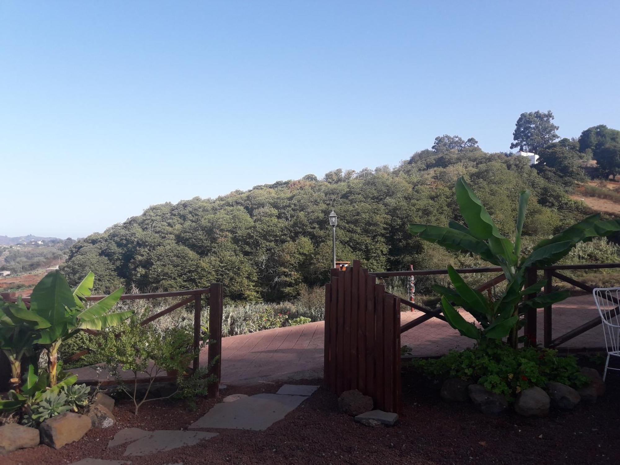 Finca Naturacanaria Moya  المظهر الخارجي الصورة