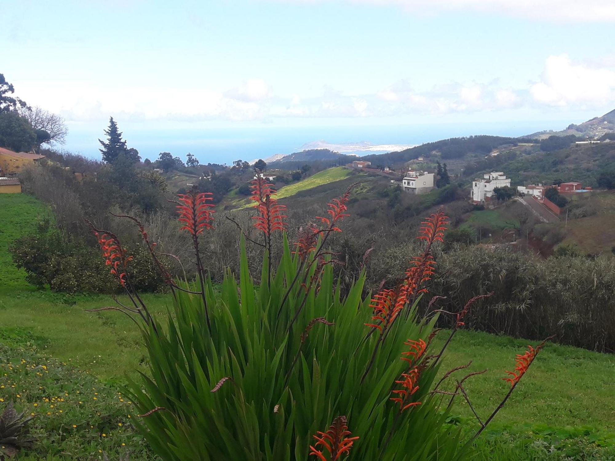 Finca Naturacanaria Moya  المظهر الخارجي الصورة