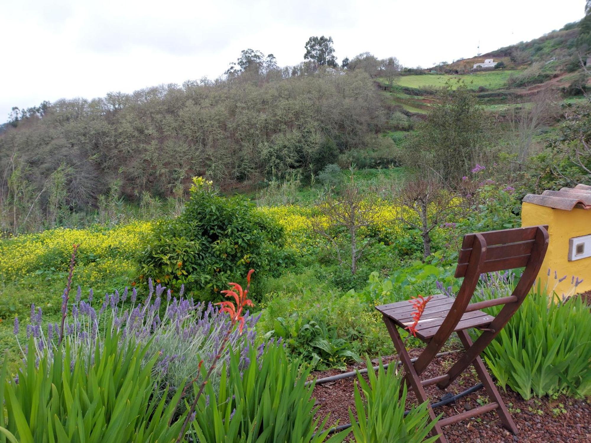 Finca Naturacanaria Moya  المظهر الخارجي الصورة