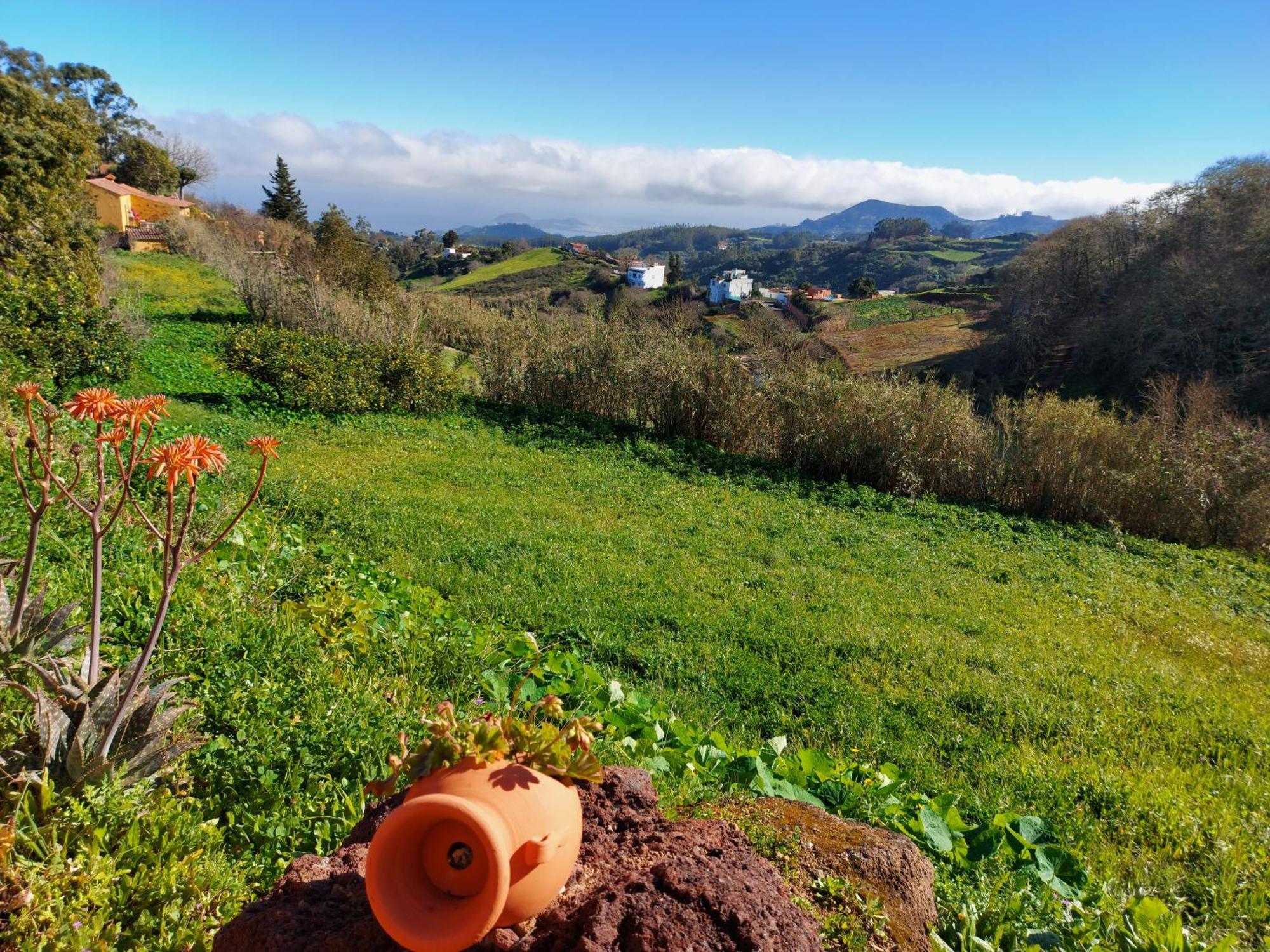 Finca Naturacanaria Moya  المظهر الخارجي الصورة