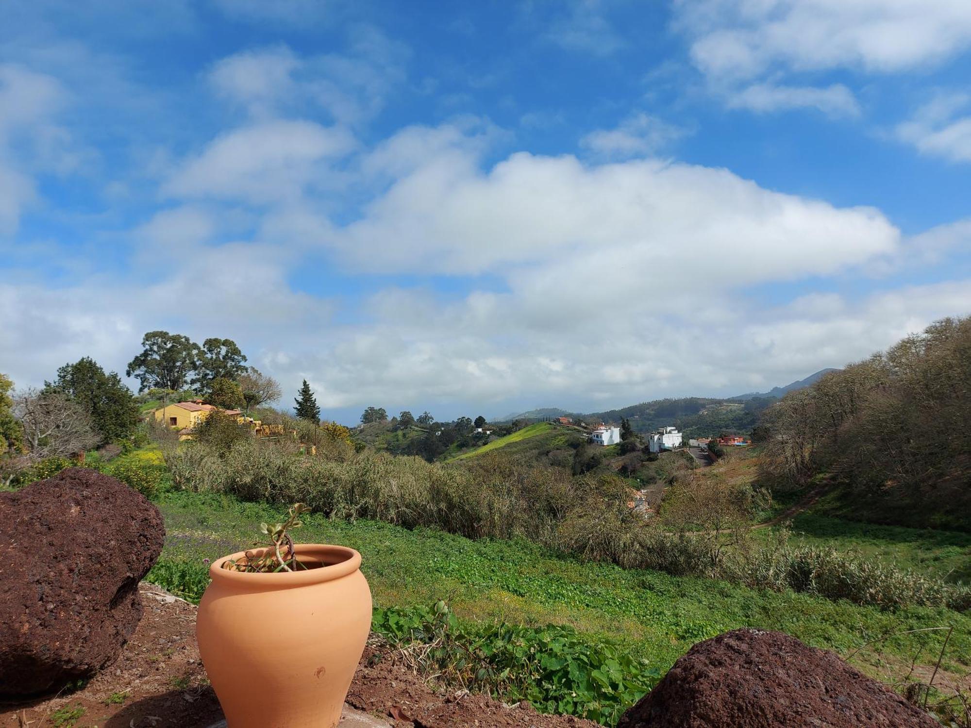Finca Naturacanaria Moya  المظهر الخارجي الصورة