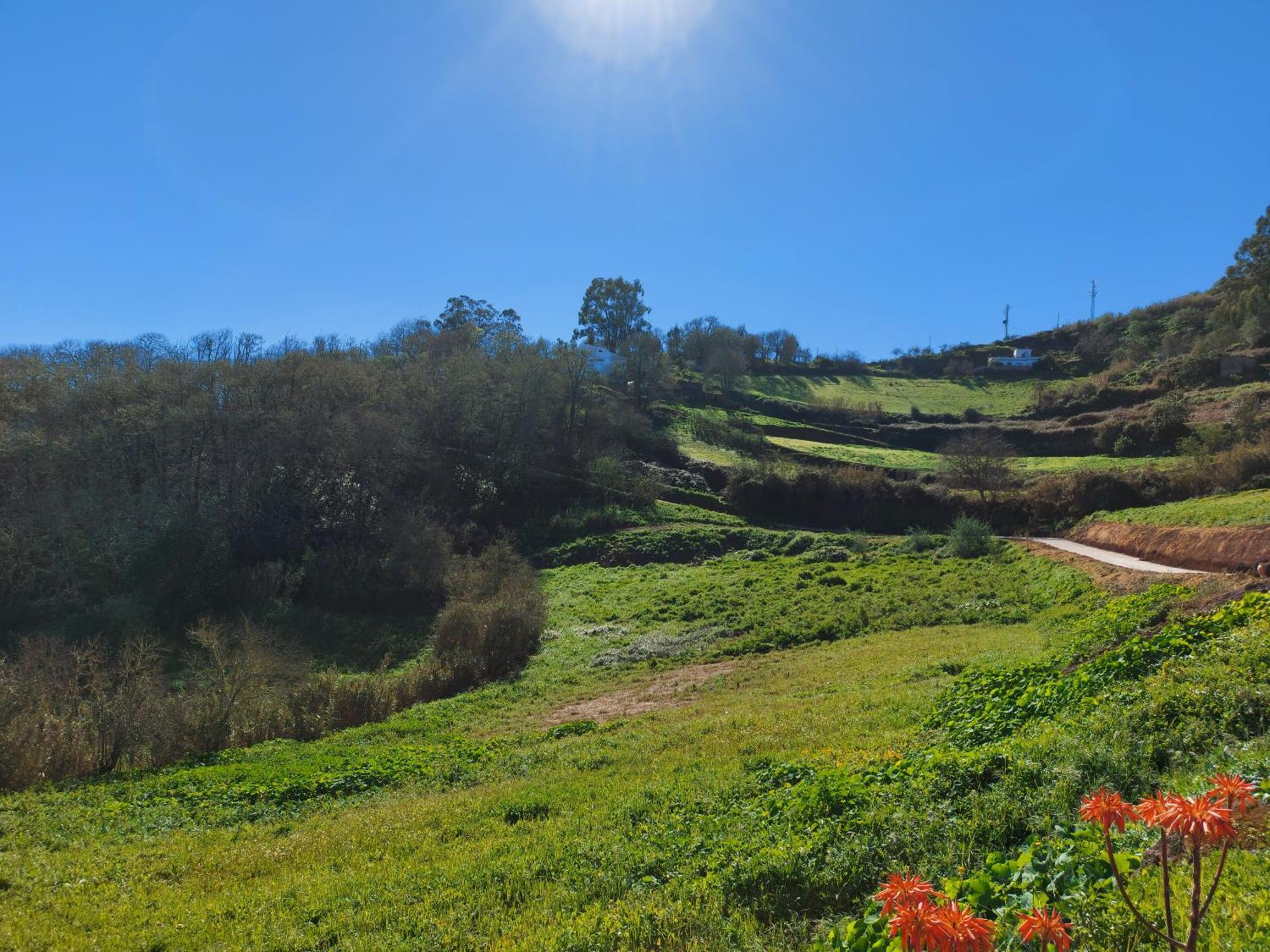 Finca Naturacanaria Moya  المظهر الخارجي الصورة