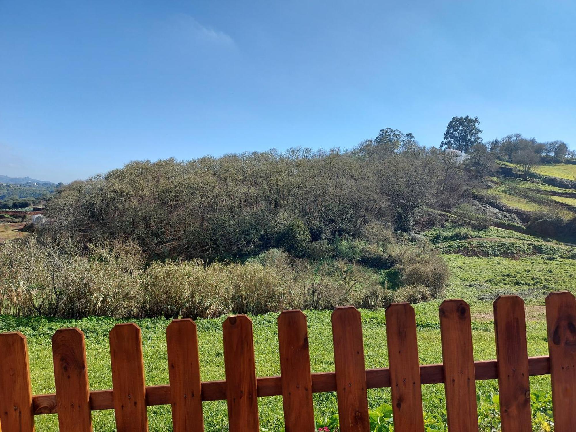Finca Naturacanaria Moya  المظهر الخارجي الصورة