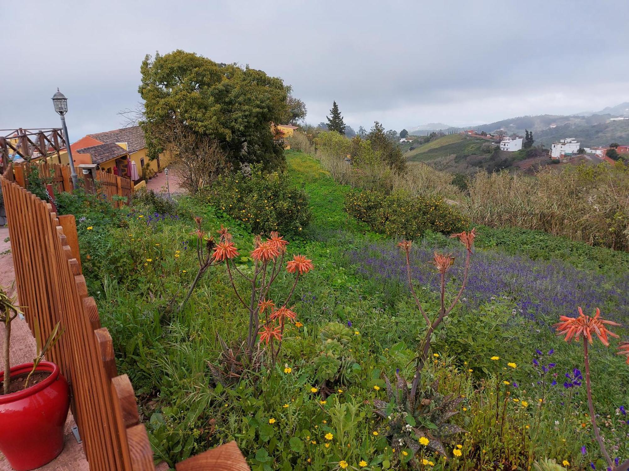 Finca Naturacanaria Moya  المظهر الخارجي الصورة