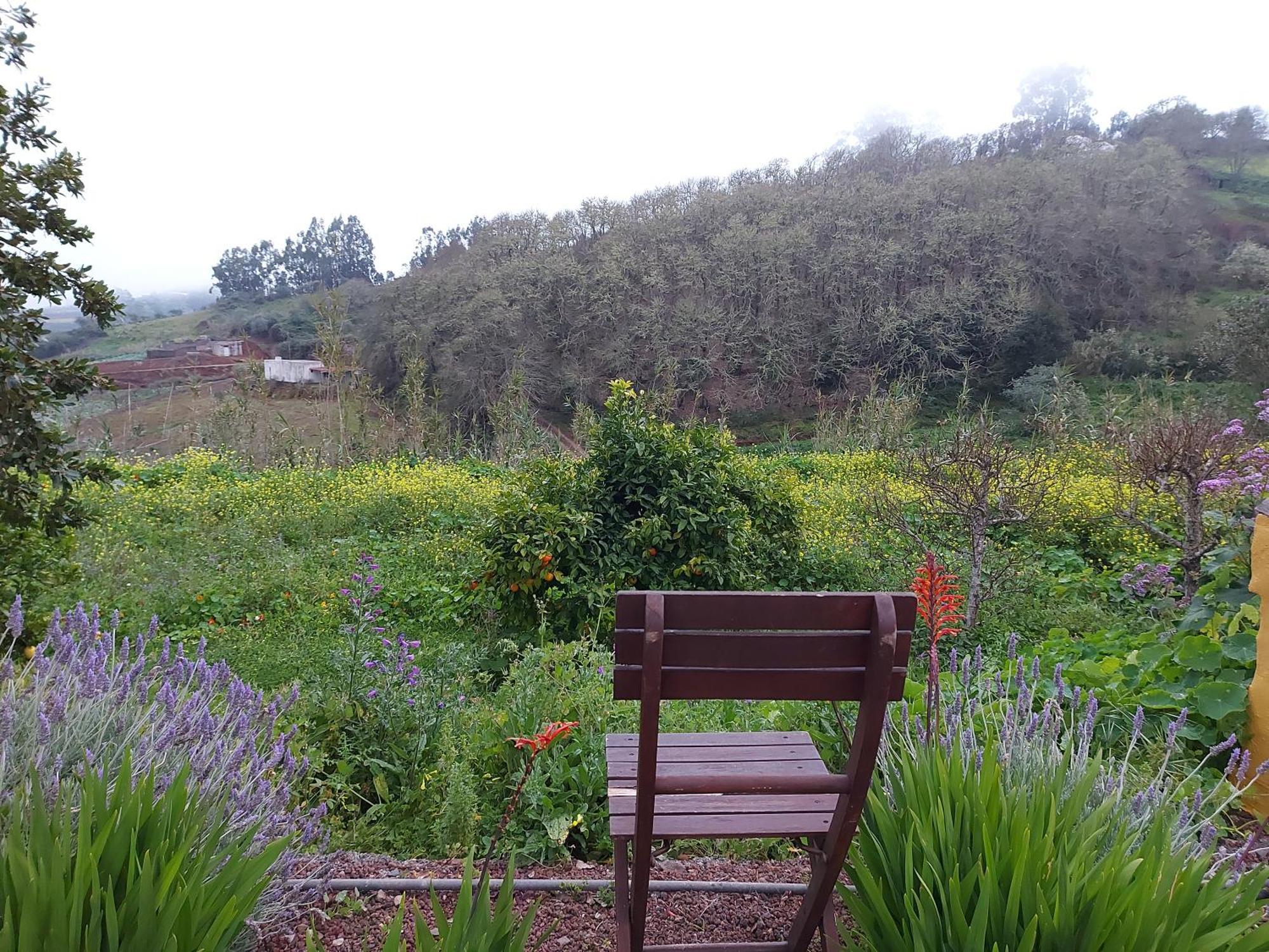 Finca Naturacanaria Moya  المظهر الخارجي الصورة