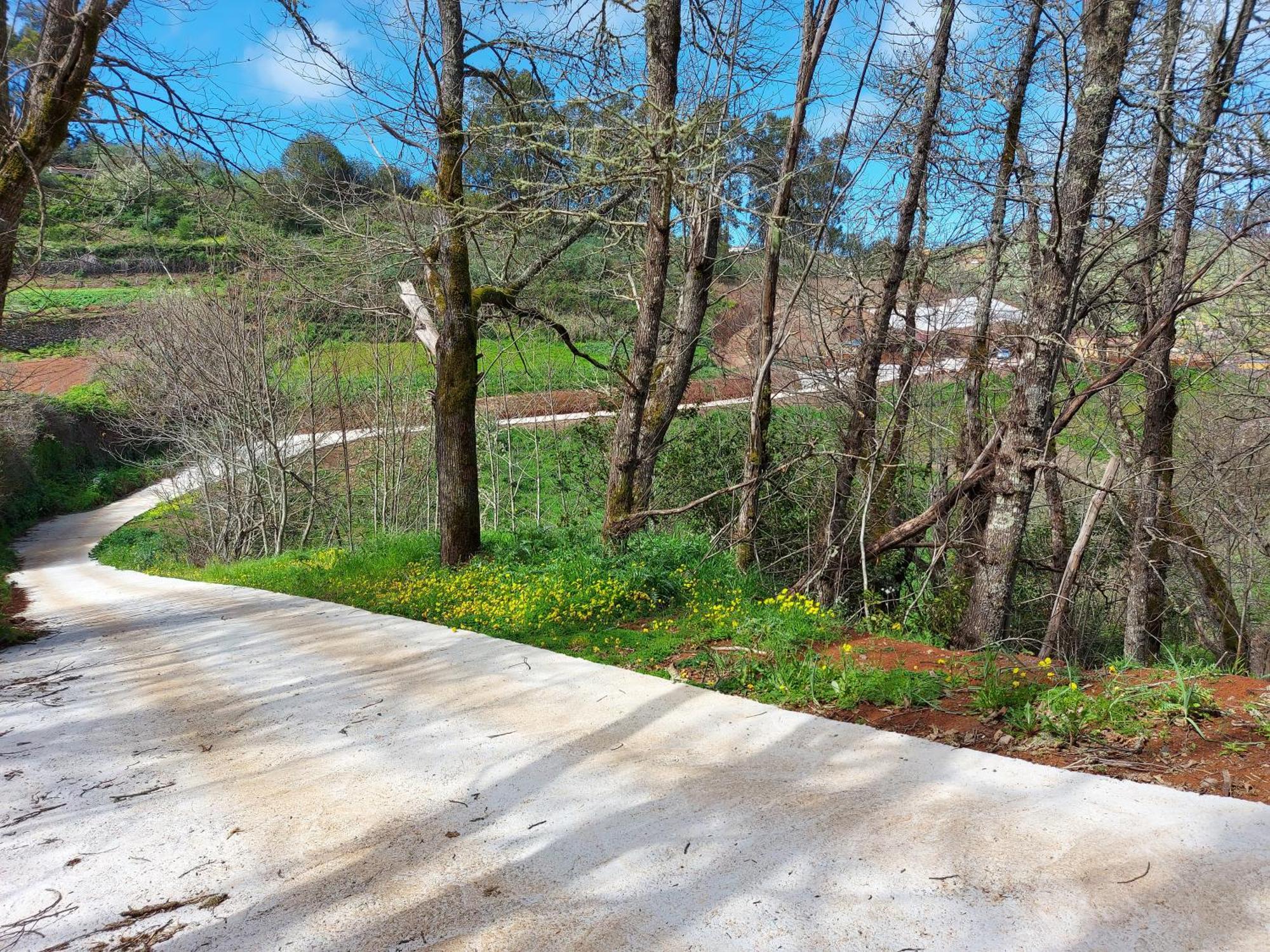 Finca Naturacanaria Moya  المظهر الخارجي الصورة
