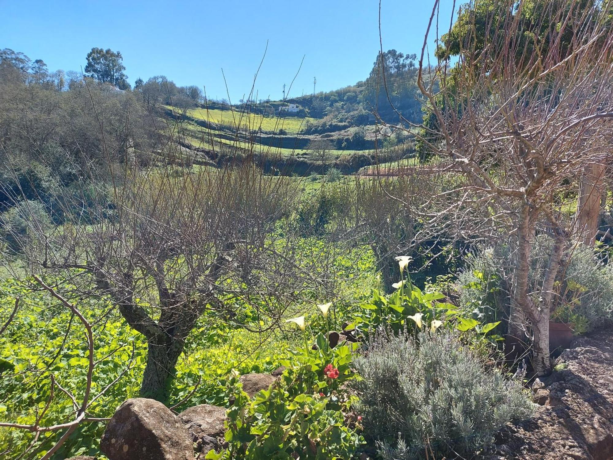 Finca Naturacanaria Moya  المظهر الخارجي الصورة